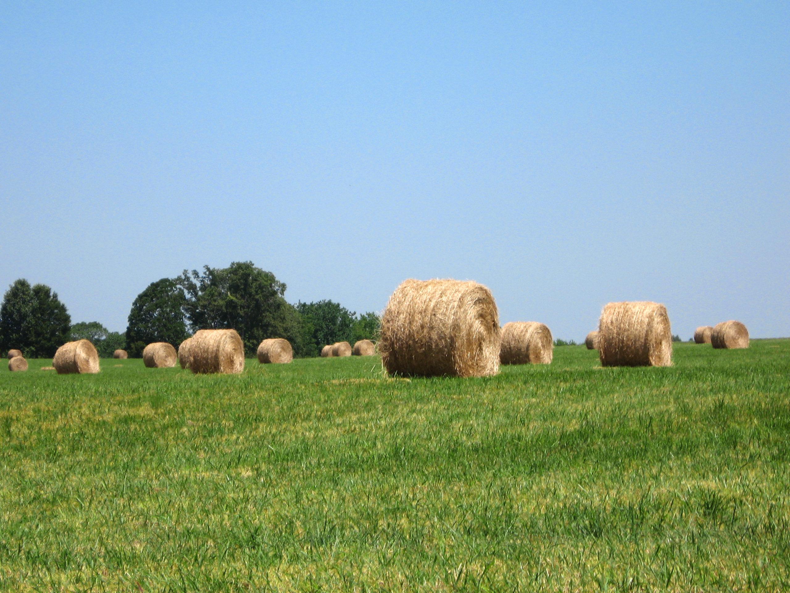 Boling Farms sells hay